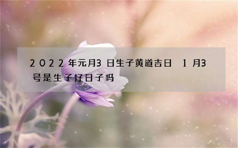 2022年元月3日生子黄道吉日 1月3号是生子好日子吗